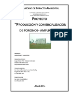 Modelo de Proyecto de criadero de cerdos.pdf
