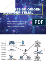 Tumores de Origen Neuroepitelial