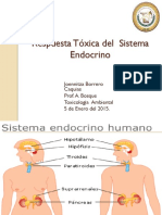 Respuesta Tóxica Del Sistema Endocrino-Jborrero
