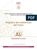 Registro de Evidencias Tutor 2019