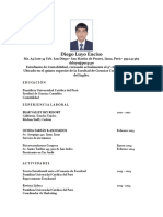 250534340-CV-Diego-Luyo-Enciso.pdf