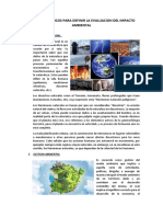 CONCEPTOS BASICOS PARA DEFINIR LA EVALUACION DEL IMPACTO AMBIENTAL.docx