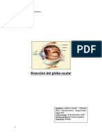 diseccion globo ocular.docx