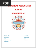 -practical-assignment final ok.docx