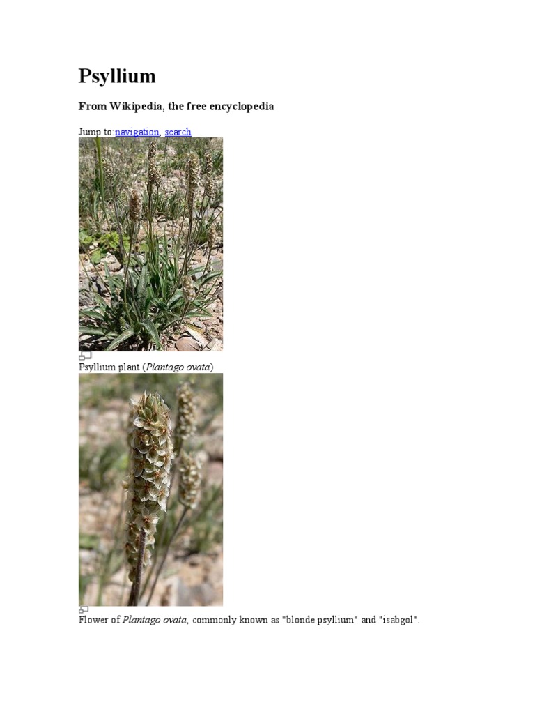 Psyllium | PDF | Dietary Fiber | Diet & Nutrition