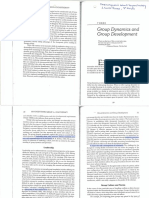 group_dynamics_rutan.pdf