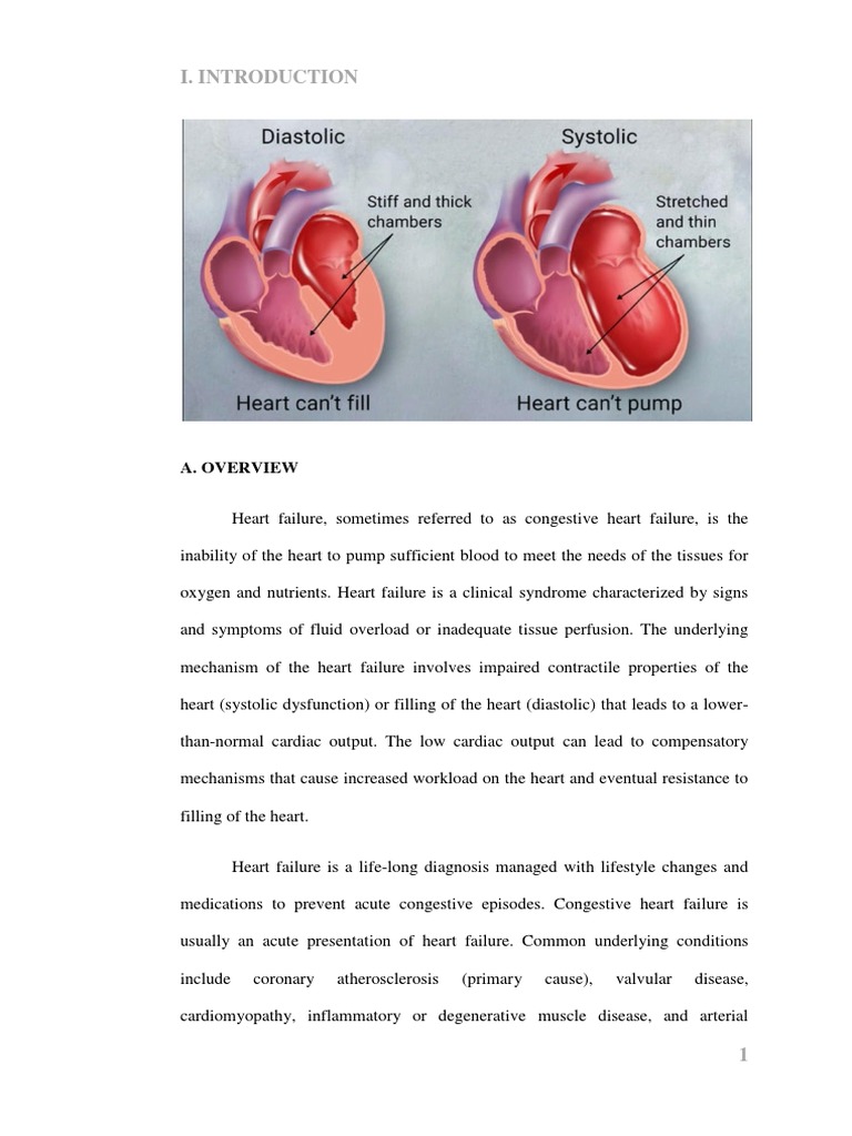 Understanding Congestive Heart Failure | PDF | Heart Failure | Heart Valve