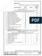 4.5.3 Schema Diviziunii Muncii