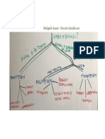 Hartă Conceptuală PDF