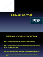 EKG - Normal PDF