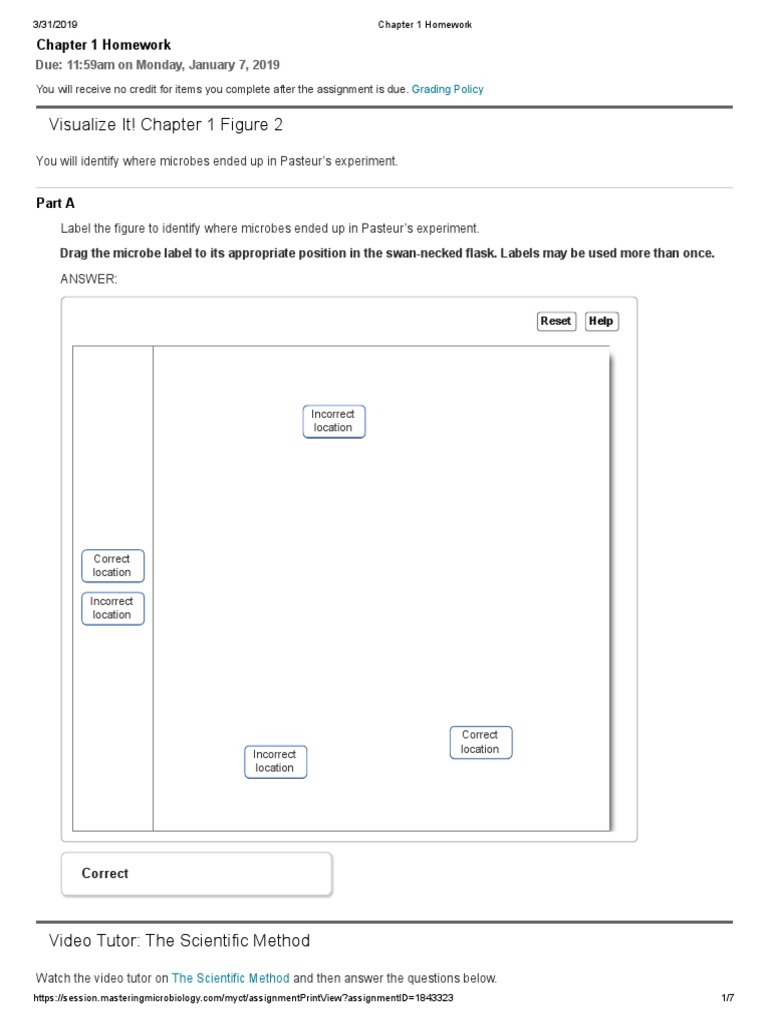 Chapter 1 Homework Pdf Experiment Hypothesis