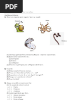 Anelídeos e Moluscos