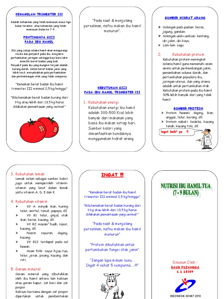 Leaflet - Nutrisi Ibu Hamil