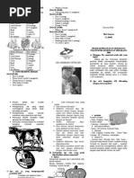 Download Leflet Gizi Ibu Menyusui by Trinoval Yanto Nugroho SKep SN40449627 doc pdf