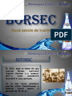 117517089-Studiu-BORSEC