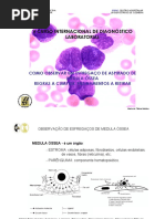 Regras e erros na observ esfreg MO.pdf