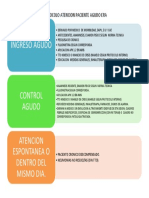 Protocolo Paciente Agudo Era PDF