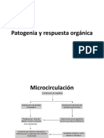 Esquemas de Choque (Patogenia, Respuesta Orgánica y Fisiopatologia Del Choque)