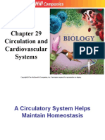 Circulation and Cardiovascular Systems