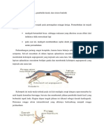 Embriologi Jantung