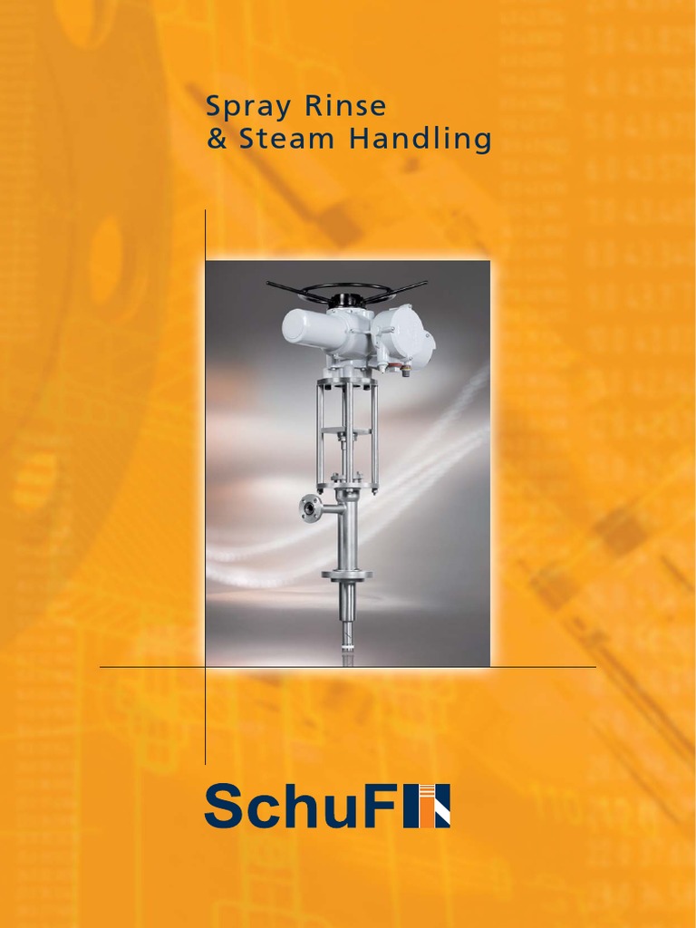 Spray Rinse & Steam Handling | PDF | Valve | Steam