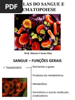MCD-Celulas Do Sangue e Hematopoese MED2009 Arquivo