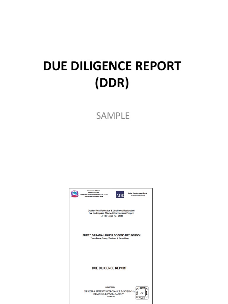 Due Diligence Report (DDR) Overview | PDF