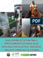 Cartilla - TALLAS MINIMAS - Digital PDF