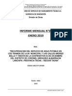 3.-INFORME MENSUAL ENERO 2019 - MEMORIA.doc
