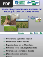 Adubação Fosfatada Sistemas de Culturas Anuais.pdf
