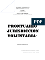 PRONTUARIO JV.docx