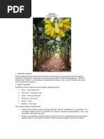 Download BudidayaTanamanPisang by mjd_pro SN40484650 doc pdf