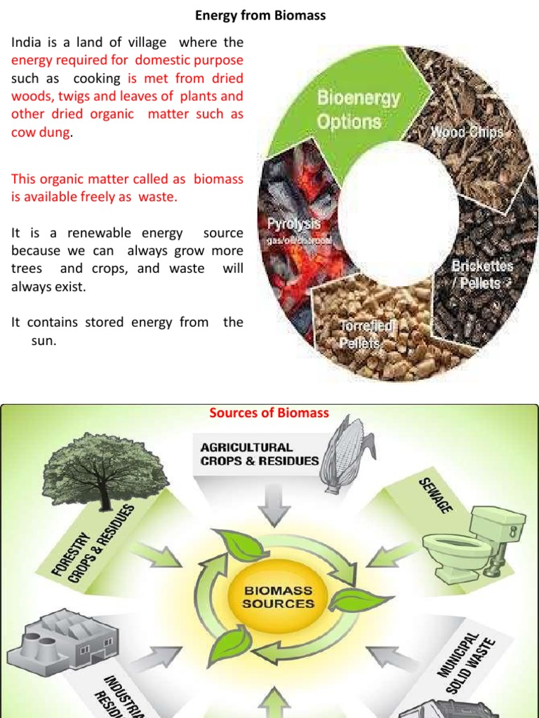 Biomass Energy: Production and Conversion | PDF | Biomass | Biogas