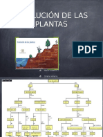 Evolución de Las Plantas