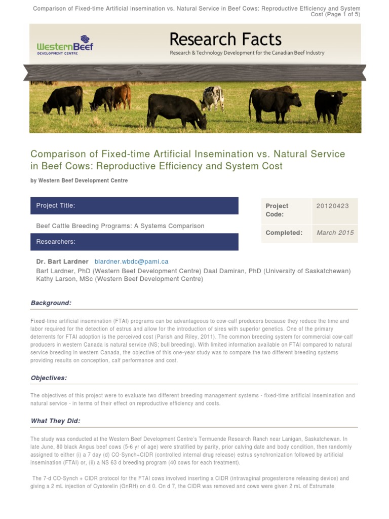 Comparison of Fixed Time Artificial Insemination Vs Natural Service in