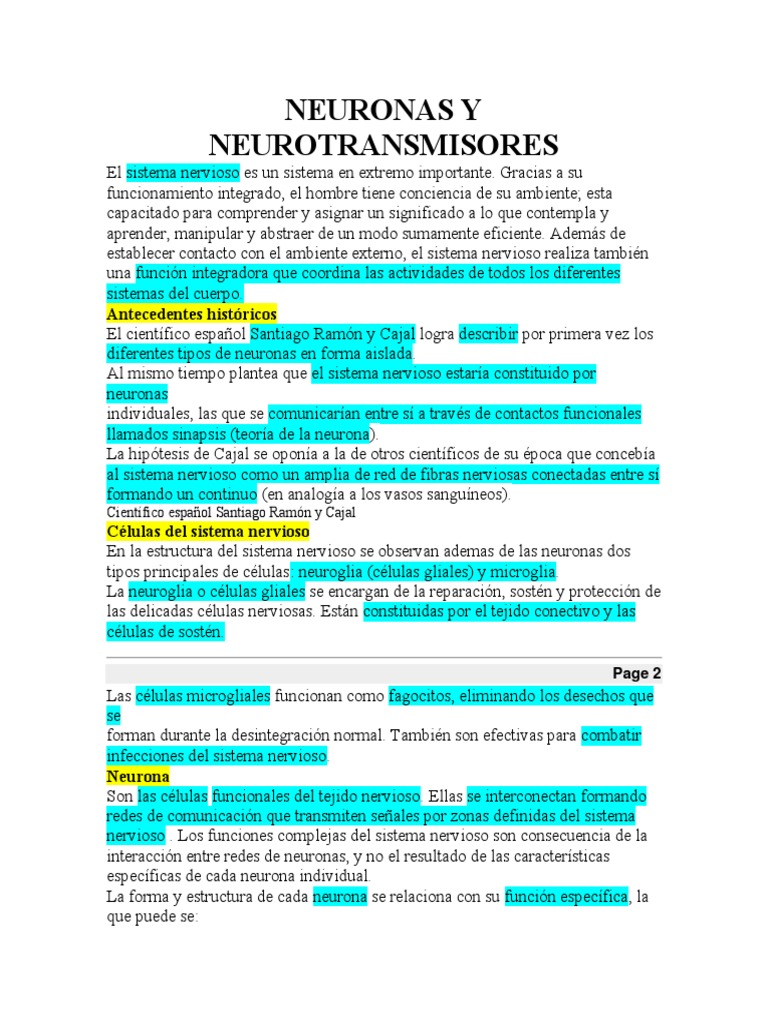 Neuro Sinapsis1 | PDF | Neurona | Axon