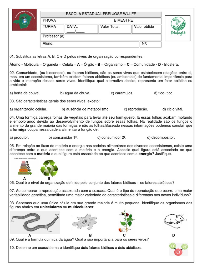 Prova de Biologia 1º Ano Ensino Médio | PDF | Organismos | Ecossistema