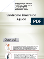 Sindrome Diarreico Agudo Nuevo 111