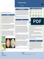 Evolution of Plastids Poster Final