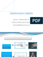 4radiologiacabezaycuello 110426193206 Phpapp02 PDF