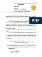 08-02-20Aparelho_urinario_partes_II_e_III.pdf