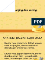 Gangguan Sistem Peproduksi Betina