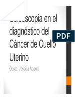 Introducción A La Colposcopia Modulo 3 PDF