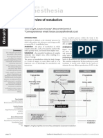 An Overview of Metabolism