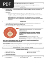O ambiente Organizações.docx