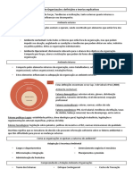 O Ambiente Organizações