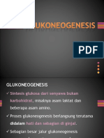 GLUKOGENOGENESIS