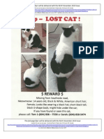 RLNV Lost Cat Flyer Nov2010