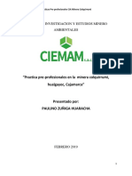 Informe Final CIEMAM (Autoguardado)