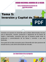 Formulación de proyectos de inversión privados.pdf